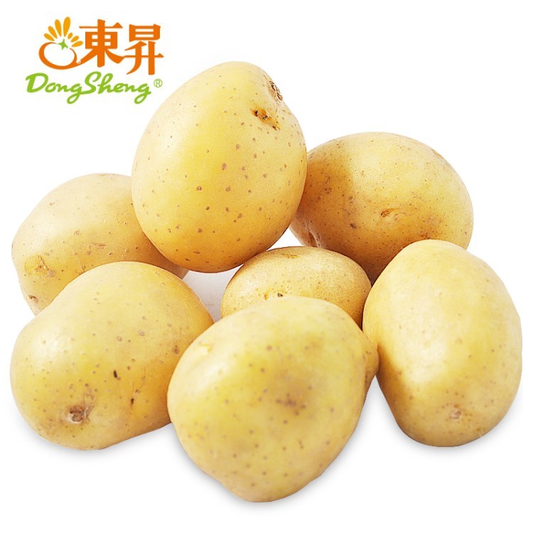 东升农场  迷你薯仔小土豆 小马铃薯 广州蔬菜新鲜配送 300g