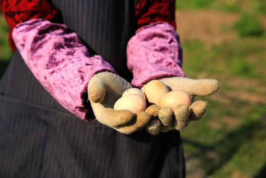 呵护套餐 商品图1