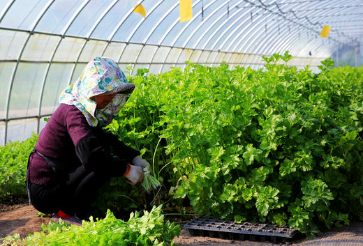 呵护套餐 商品图4