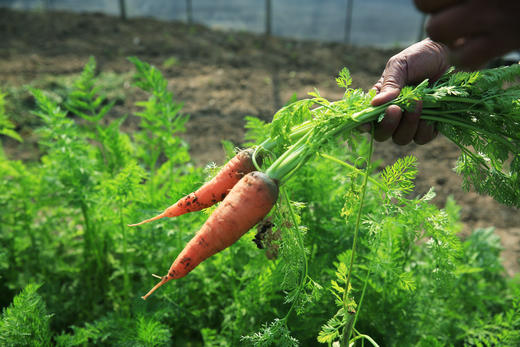 呵护套餐 商品图2
