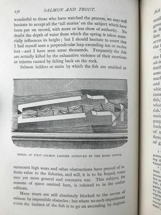 1893年 垂钓指南（全2卷） 数百幅版画插图 漆布精装32开 商品图13
