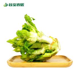 谷宝生态多心菜