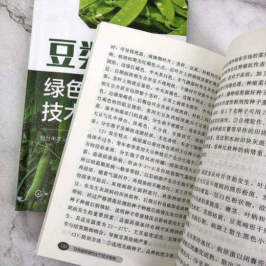 豆类蔬菜绿色生产技术指南 商品图8