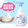 日本 花王（Kao）碧柔洗手液 250ml【一般贸易】 商品缩略图2