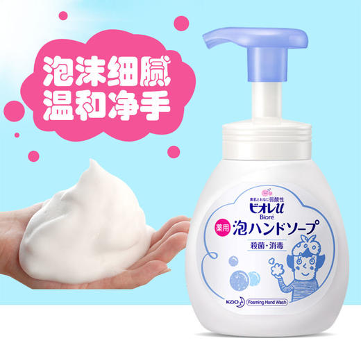 日本 花王（Kao）碧柔洗手液 250ml【一般贸易】 商品图2