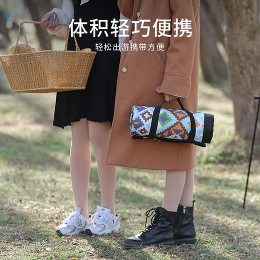野炊布野餐垫防潮垫加厚野外户外垫子防水可折叠ins风郊春游地垫 商品图6