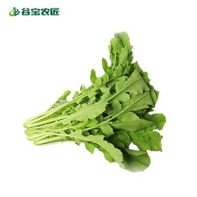 谷宝生态萝卜菜