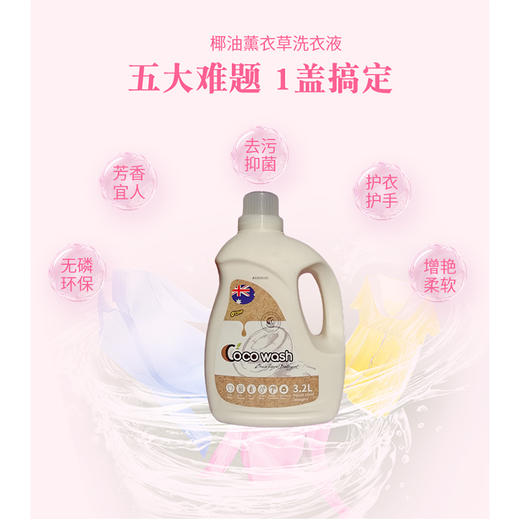3.2L埃德莉娜薰衣草椰油/清香洗衣液 商品图2
