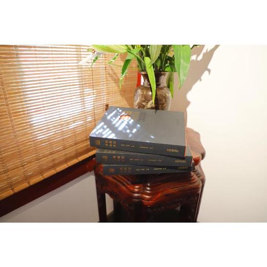 天同办案手记 商品图1