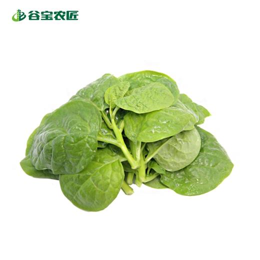 谷宝生态木耳菜 商品图0