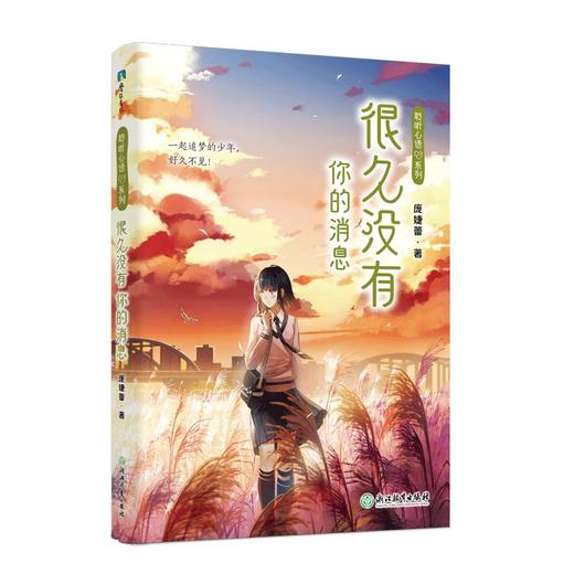 很久没有你的消息/我不会给你写信 商品图1