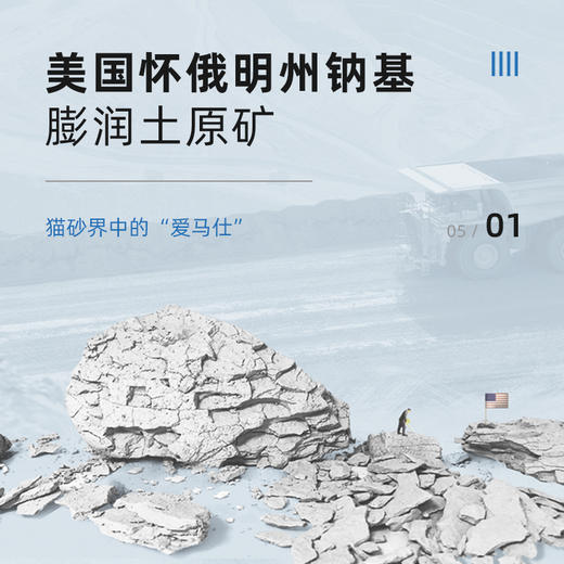 蓝钻膨润土猫砂25磅美国钠基膨润土红白标蓝猫砂无尘除臭活性炭 商品图1