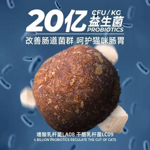 阿飞和巴弟E76冻干双拼猫粮【带防伪！保真】 商品图2