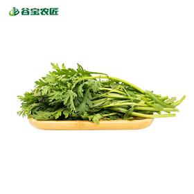 谷宝生态小叶茼蒿