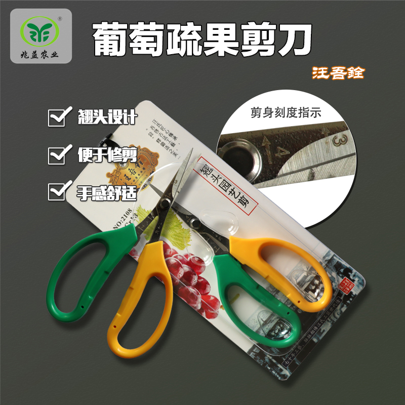 汪吾銓 葡萄修果挑粒翘头剪刀  剪身刻度指示