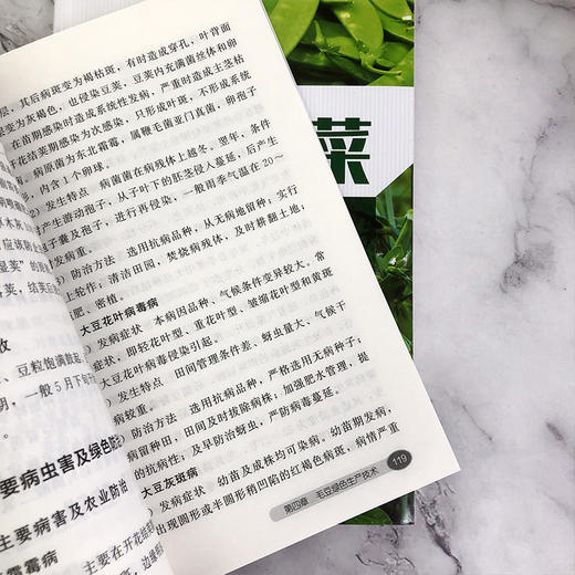 豆类蔬菜绿色生产技术指南 商品图4