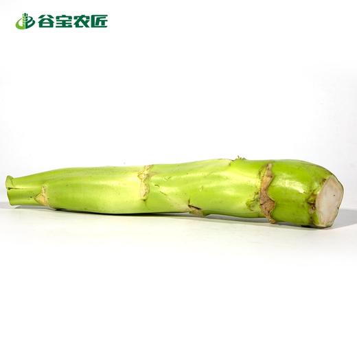 谷宝生态芥菜头 商品图0