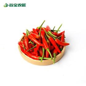 谷宝生态小米椒