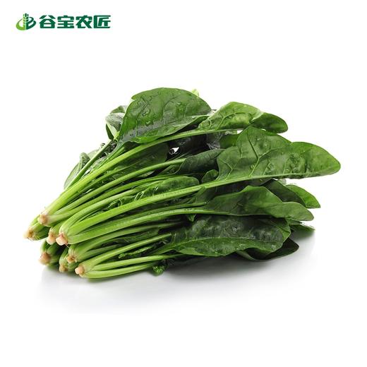 谷宝生态菠菜300g 商品图0