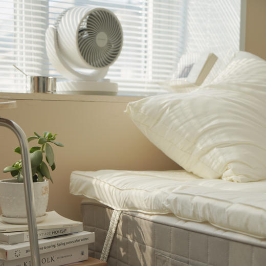 【立体床垫】原棉A类床垫纯色原棉无荧光床褥加厚保护垫烫画软床垫 商品图4