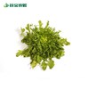 谷宝生态苦菊 商品缩略图0