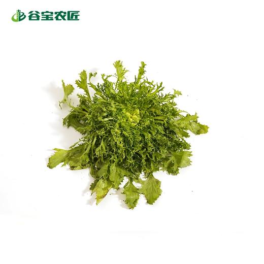 谷宝生态苦菊 商品图0