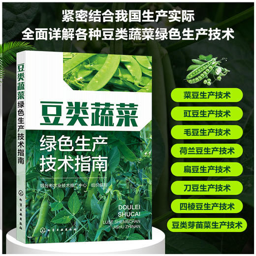 豆类蔬菜绿色生产技术指南 商品图0