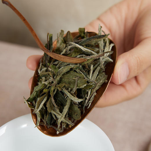 自家系列丨2020年 家和 白牡丹 200g 商品图1