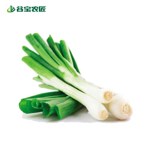 谷宝生态分葱 商品图0