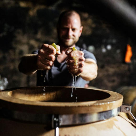 【自然酒】酒富帕罗利雷司令干型白葡萄酒  WEINREICH Paroli dry White 商品图2