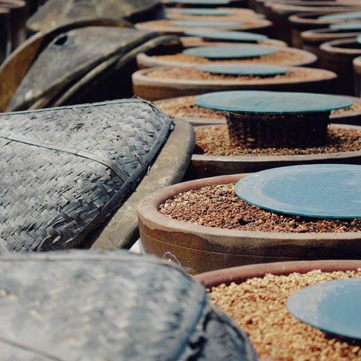 九龙口·美浓烧红烧酱油 488g/瓶 | 菜肴着色 颜鲜美味 商品图4