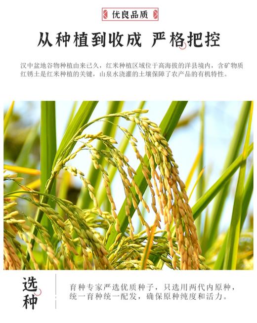 陕西特产 洋县有机五彩米礼盒2kg 商品图2