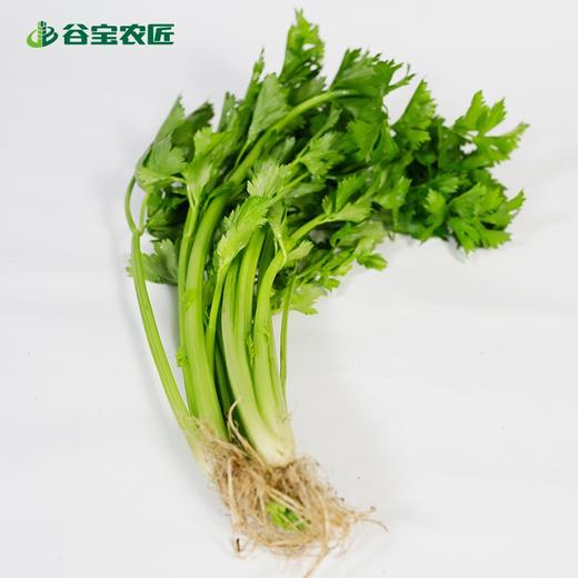 谷宝生态西芹 商品图0