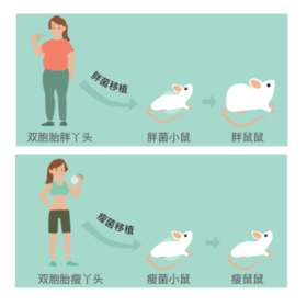 真的可以“百吃不胖”吗？