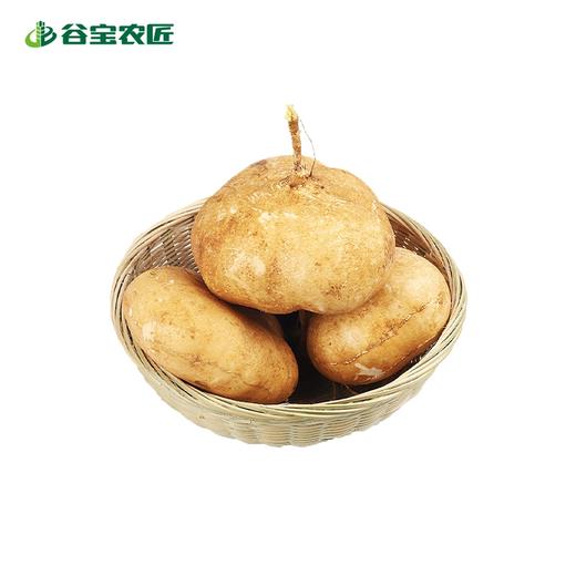 谷宝生态凉薯500g 商品图0