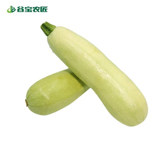 谷宝生态西葫芦 商品图0