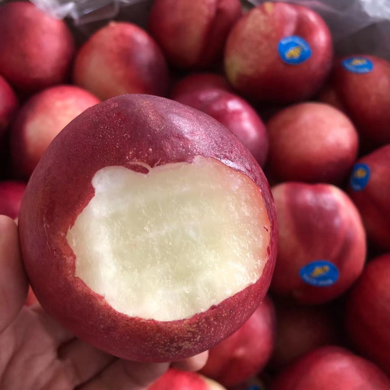 预售澳洲小蜜蜂白心油桃8颗份约4斤新鲜吃脆甜可口放软后爆汁糯甜颠覆