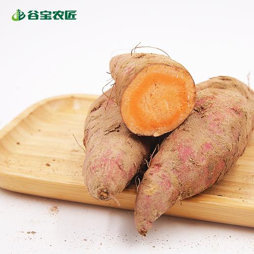 谷宝生态蜜薯500g 商品图0