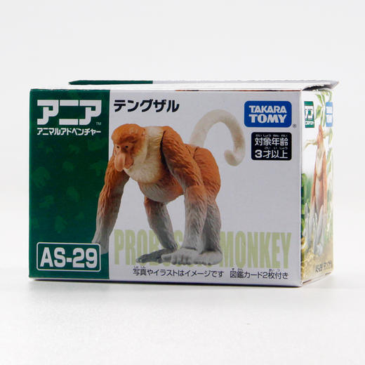安利亚-ANI-179726长鼻猴 商品图4