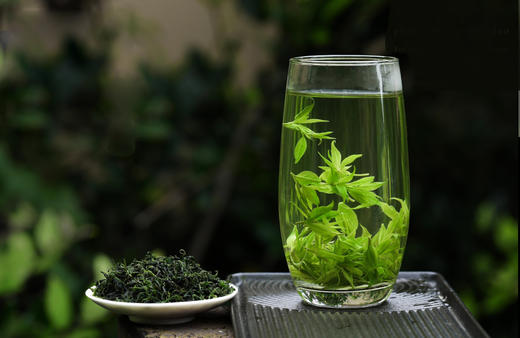 【2025特级小叶苦丁 】  汤色碧绿，屡屡清香， 峨眉山核心产区高山茶! 商品图1