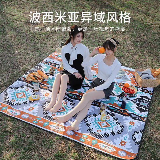 野炊布野餐垫防潮垫加厚野外户外垫子防水可折叠ins风郊春游地垫 商品图7