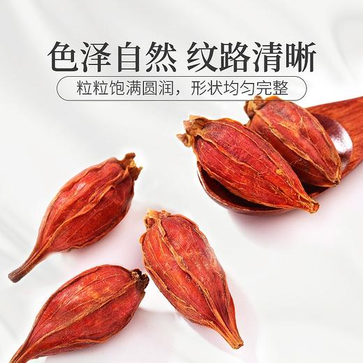 庄民 栀子 精选小颗粒栀子 降栀子糖花茶90g/罐 商品图4