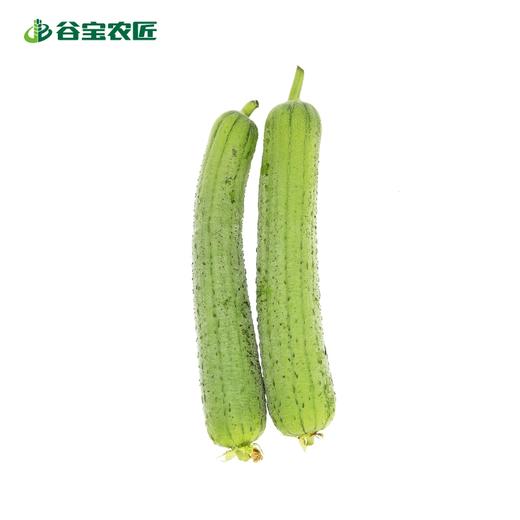谷宝生态线丝瓜 商品图0