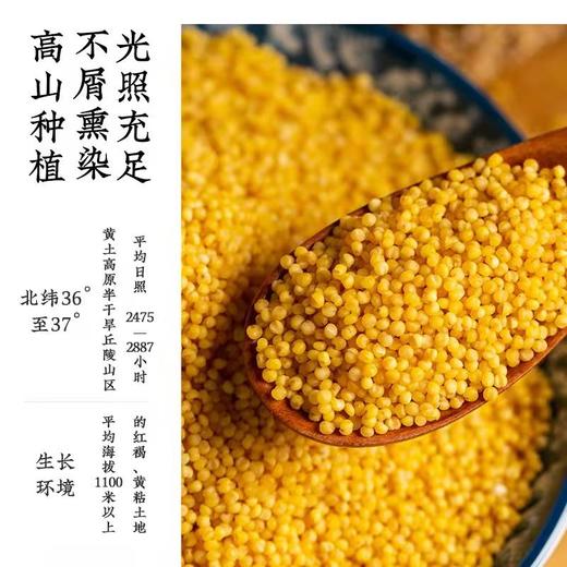 吴阁老 沁州黄小米 有机黄小米500g 山西特产支持自提 商品图3