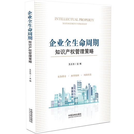 企业全生命周期知识产权管理策略 商品图0