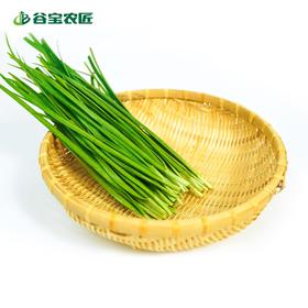 谷宝生态韭菜