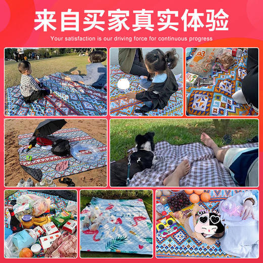 野炊布野餐垫防潮垫加厚野外户外垫子防水可折叠ins风郊春游地垫 商品图1