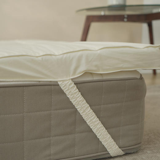 【立体床垫】原棉A类床垫纯色原棉无荧光床褥加厚保护垫烫画软床垫 商品图5