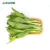 谷宝生态广东菜心 商品缩略图0