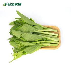 谷宝生态广东菜心